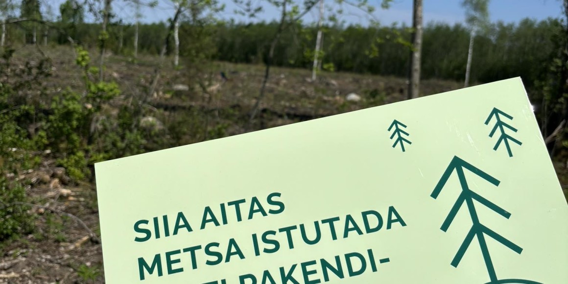 Klaasikonteinerisse jõudnud pudelite-purkide abil on rajatud juba 15 hektarit metsa
