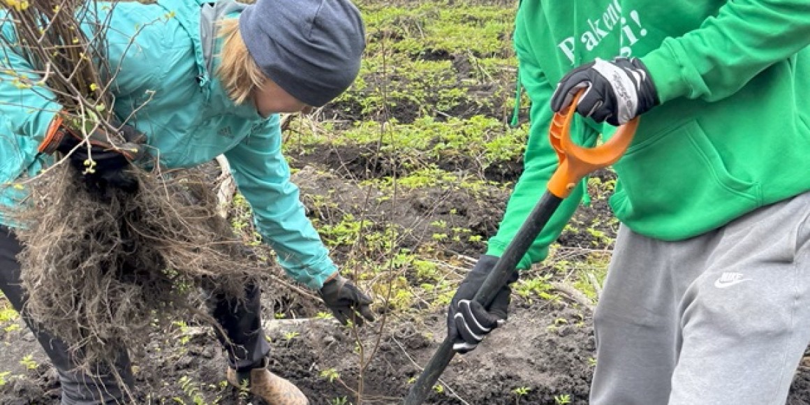 Pressiteade. Eesti Pakendiringlus rajab klaaspakendite kogumise kampaania käigus 2025. aastal 5 hektarit uut metsa